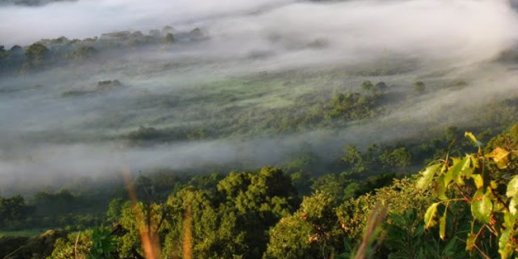 Rains Expected As Kenya Met Releases Forecast For December To February 2026