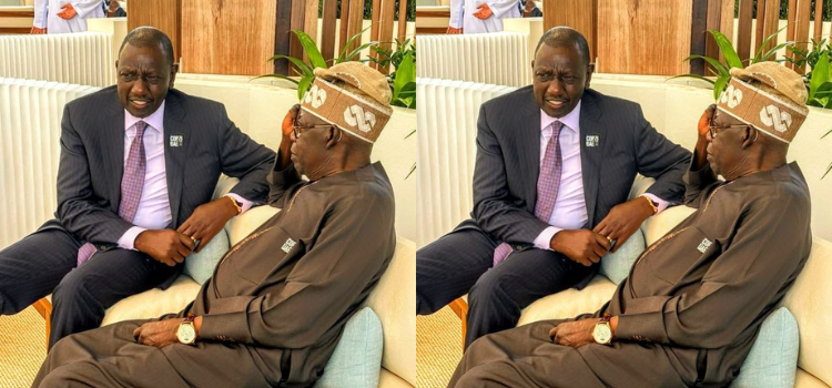 Why Kenya Has Been Ranked The Leading In Africa’s Private Sector, Toppling Nigeria Kenya Beats Nigeria To Lead Africa In Private Sector Performance With Pmi Of 55.0