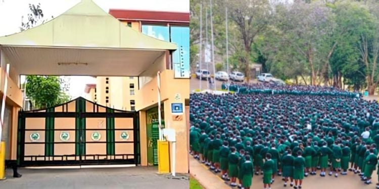 Kenya’s Top 20 Schools Offering Stem Subjects For Grade 10 Placement List Of Top 20 Stem Pathway Schools In Kenya