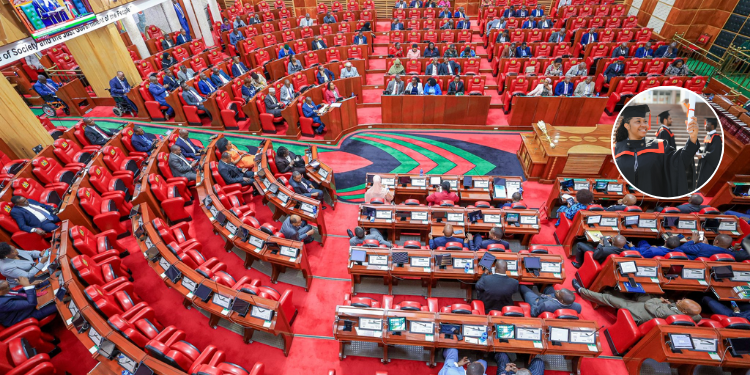 Win For Graduates As Mps Approve Law Mandating Stipends And Insurance For Interns Members Of Parliament In A Past National Assembly Session.