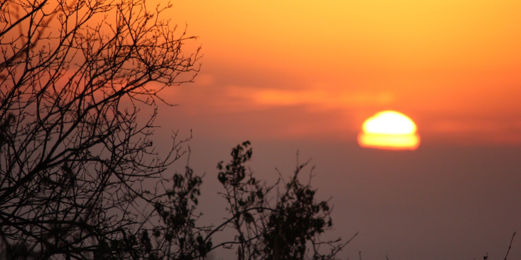 Kenya Met Issues New Heatwave Advisory For Nairobi, Mombasa, And Other Major Towns Kenya Met Issues Heat Wave Advisory For Nairobi, Kisumu, And Mombasa