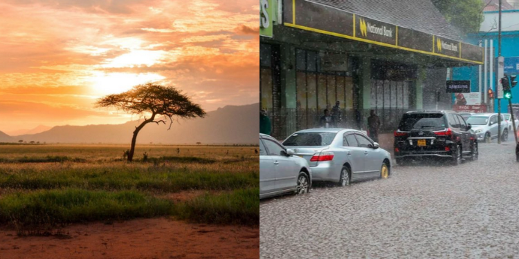 A Photo Collage Depicting Sunny Conditions And Rainfall Across Different Parts Of Kenya Photo/Nmg/The Star