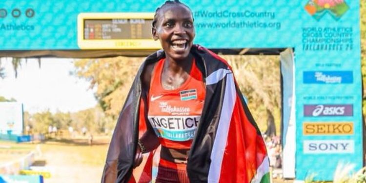 Profile Of Agnes Ngetich, Kenya'S Crowned World Cross Country Champion Agnes Ngetich Profile: Education, Career, Family And Networth