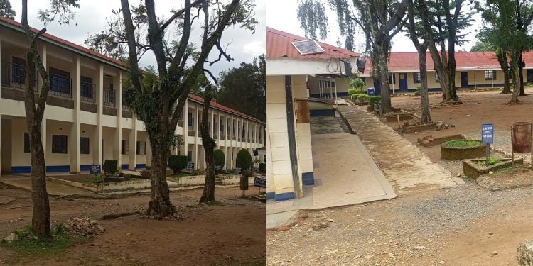 Eregi Girls High School Kcse Performance, Fees, Contacts And Location