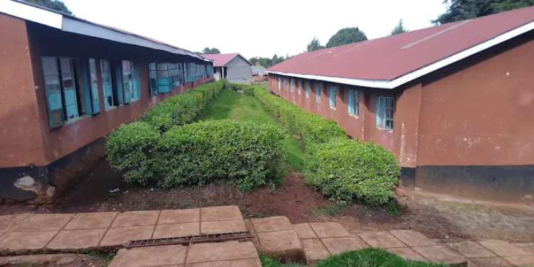 Kapngetuny High School Fees, Kcse Performance And Contacts Kapngetuny High School Fees, Kcse Performance And Contacts