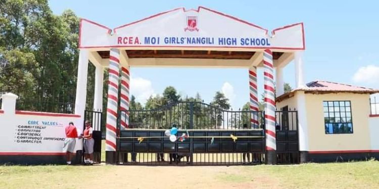 Moi Girls Nangili Secondary School Kcse Performance, Fees, Contacts And Location