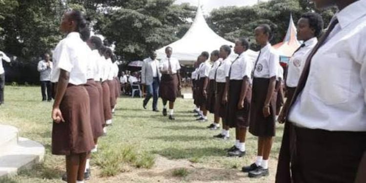 Muthetheni Girls' Secondary Fees, Kcse Performance, Contacts And Location