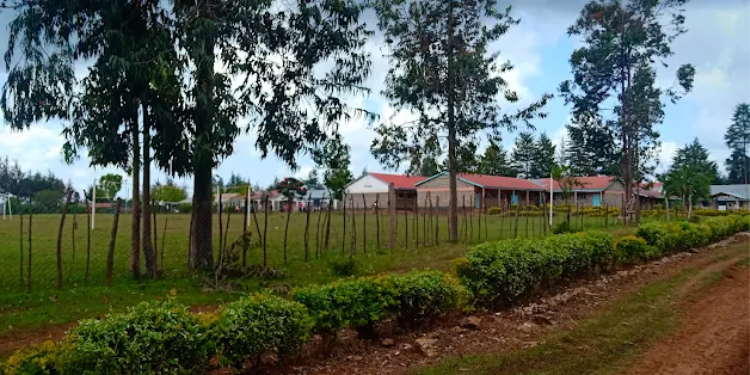 Plateau Girls Secondary School Fees, Performance And Contacts Plateau Girls Secondary School