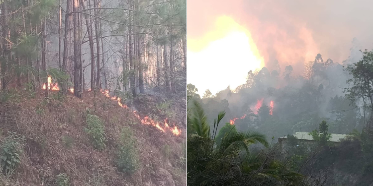 Another Wildfire Erupts Days After Nakuru National Park Blaze