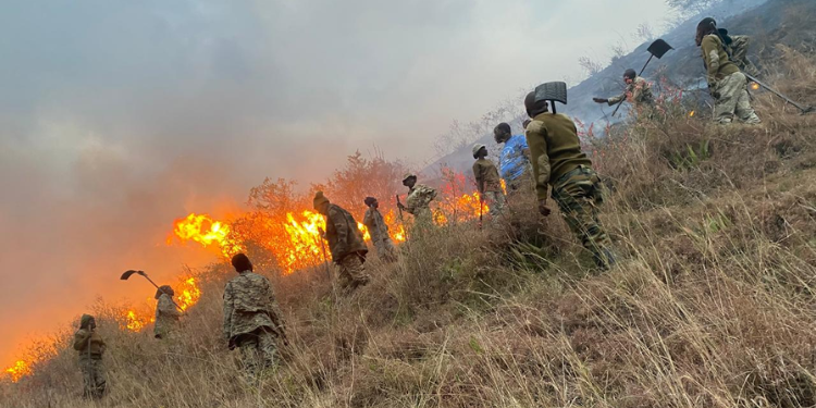 Another Wildfire Erupts Days After Nakuru National Park Blaze Another Wildfire Erupts Days After Nakuru National Park Blaze