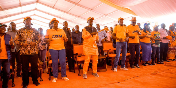 &Quot;Strictly Personal&Quot;: Gladys Wanga Disowns Oketch Salah'S Forums, Warns Odm Officials