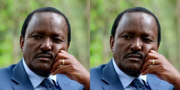 Kalonzo Mourns Death Of His Brother