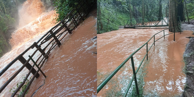 A Photo Collage Showing The Impact Of Flooding In Karura Forest. Photo/Kfs.