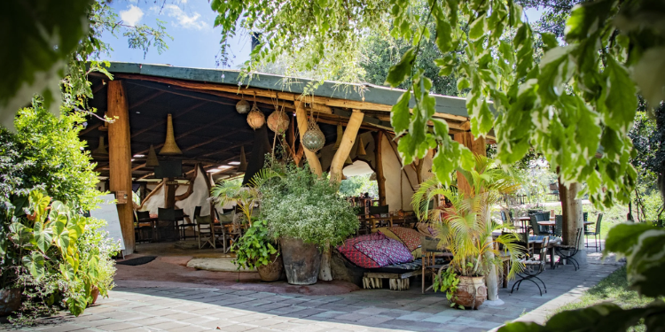 Kenya’s Hidden Gem: Camp Carnelley With Luxury Stays Of Ksh4K Per Night An Exterior View Of One Of The Bandas At Camp Carnelley Photo/Camp Carnelley
