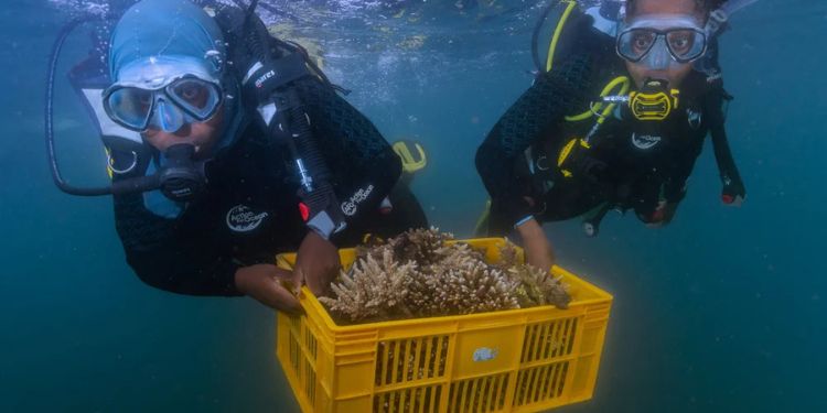 Anthony Ochieng: Kenyan Underwater Photographer Who Is Thriving In Ocean Storytelling Anthony Ochieng Onyango Is A Kenyan Conservation Photographer, Ecologist, And National Geographic Explorer.