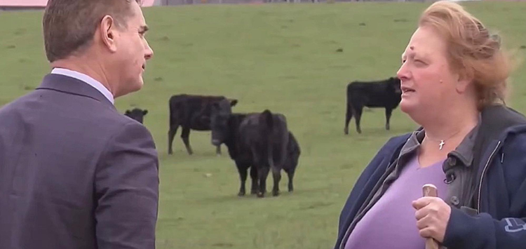 American Family Rejects $26,000,000 Offer To Give Part Of Their Farm For Data Center Delsia Bare Talking To A News Reporter