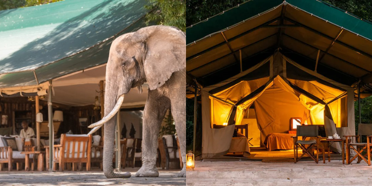 Kenya’s Hidden Gem: Governors Camp, Africa’s First Permanent Luxury Tented Camp Exterior View Of One Of The Tented Camps At Governor'S Tented Camps Photo/Governor'S Camp