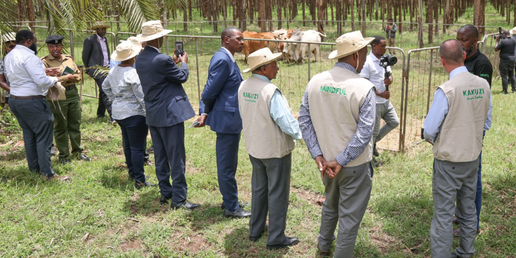 Kakuzi Profits Jump To Ksh709 Million As Shareholders Approve Ksh16 Double Dividend