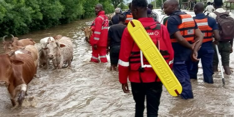 Several Regions To Continue Experiencing Rainfall This Week – Weatherman Kenya Met Lists Areas To Experience Rainfall From March 24–30
