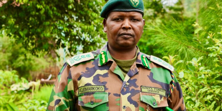 The Kinale Effect: 8 Million Tree Nursery Driving Green Economy Alex Lemarkoko