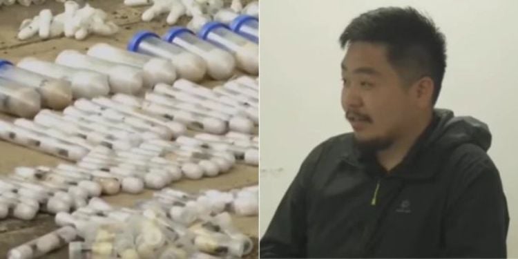 A Chinese National, Zhang Keng Kun, Was Arrested At Jkia While Allegedly Attempting To Smuggle Nearly 2,000 Queen Garden Ants Out Of Kenya.
