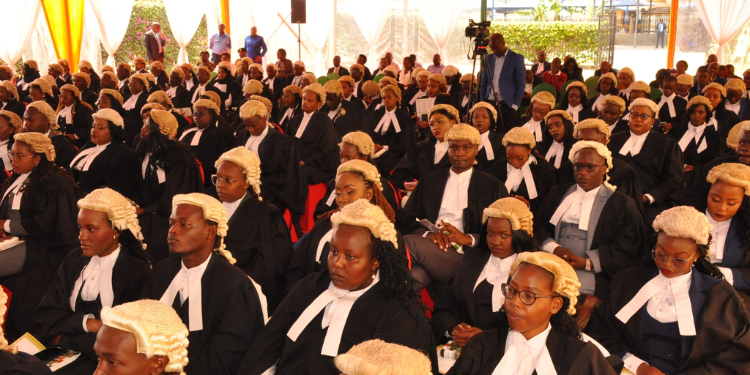 Students Who Want To Pursue Law Can Seek Placement Through Kuccps