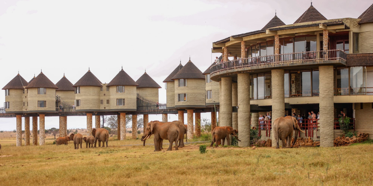 Kenya’s Hidden Gems: Salt Lick Game Lodge, One Of The World’s Most Photographed Lodges An Exterior View Of Salt Lick Game Lodge In Taita Hills Photo/Salt Lick Game Lodge