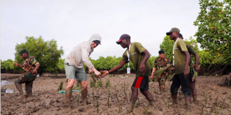 40K Mangroves Challenge Gift To Earth, The Soul Of Tourism