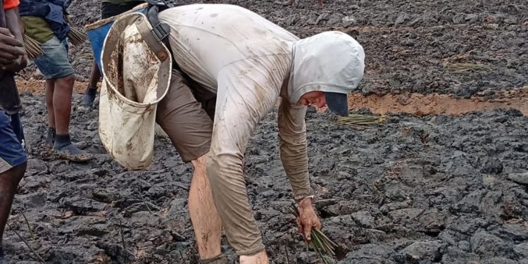 Antoine Moses Targets New Guinness World Record With 40,000 Mangrove  Planting Attempt In Mombasa