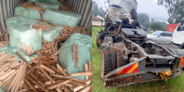 Dci Arrests Drug Trafficker After Migori Accident, Recover Ksh34M Worth Of Bhang