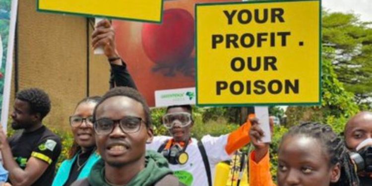 Cofek Flags Nearly Half Of Kenya’s Pesticides As Highly Toxic