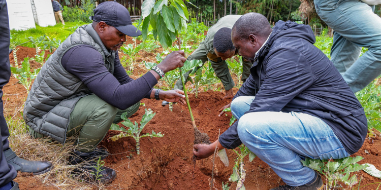 Govt Rallies Support To Address Environmental Funding In Kenya Festus Ng'Eno At A Tree Planting Exercise. Photo/ Photo/State Department For Climate And Ebvironemnt. X
