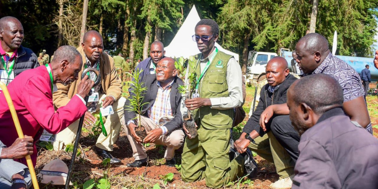 Kameza | Elgeyo Marakwet | 2026-22-04