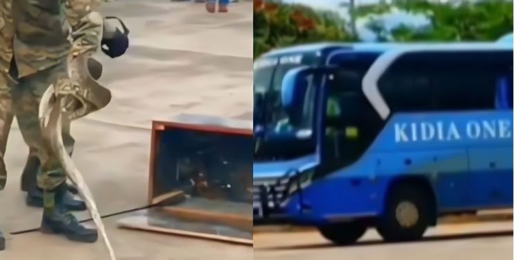 Kidia Bus Driver And Conductor Arrested At Namanga Border Over Alleged Smuggling Of Live Snake