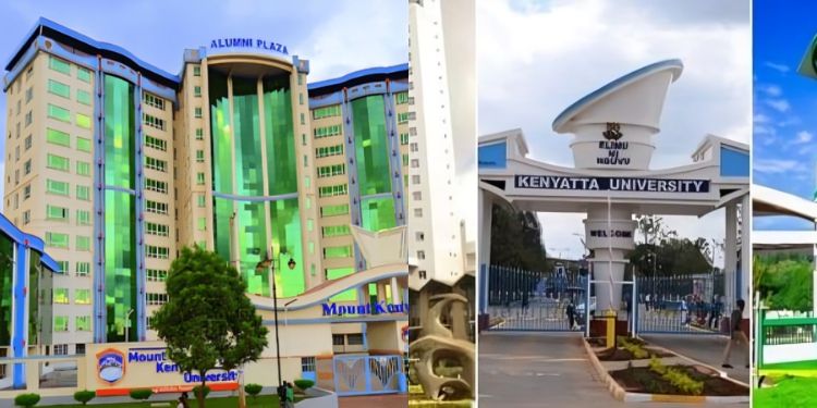 Why Low-Income Students Prefer Public Universities In 2026 Kuccps: Fees, Accommodation, And Scholarships Comparison