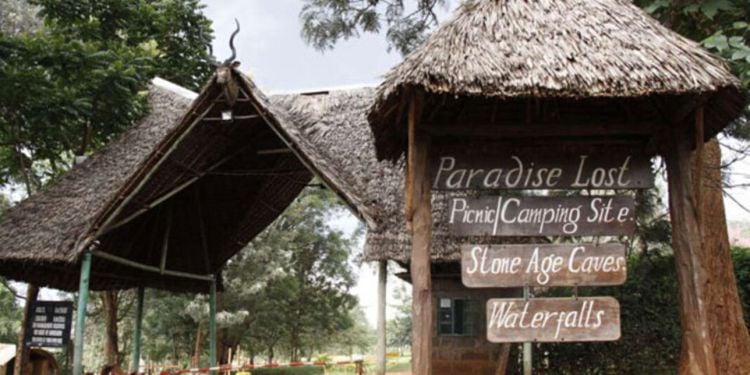 Mbugua Mwangi: Kenyan Tycoon Behind Disputed Multi-Billion Paradise Lost Land