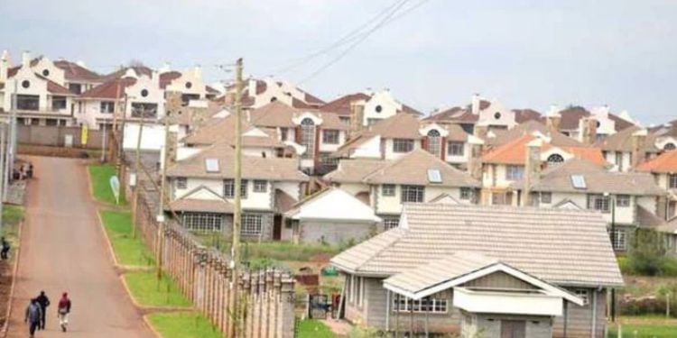 Mbugua Mwangi: Kenyan Tycoon Behind Disputed Multi-Billion Paradise Lost Land