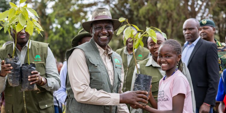 Opinion | Why The Destruction Of Forests Is An Existential Threat To Kenya’s Future President William Ruto Launched Initiative To Increase Kenya'S Forest Cover With Cutting Of Trees Still Rampant