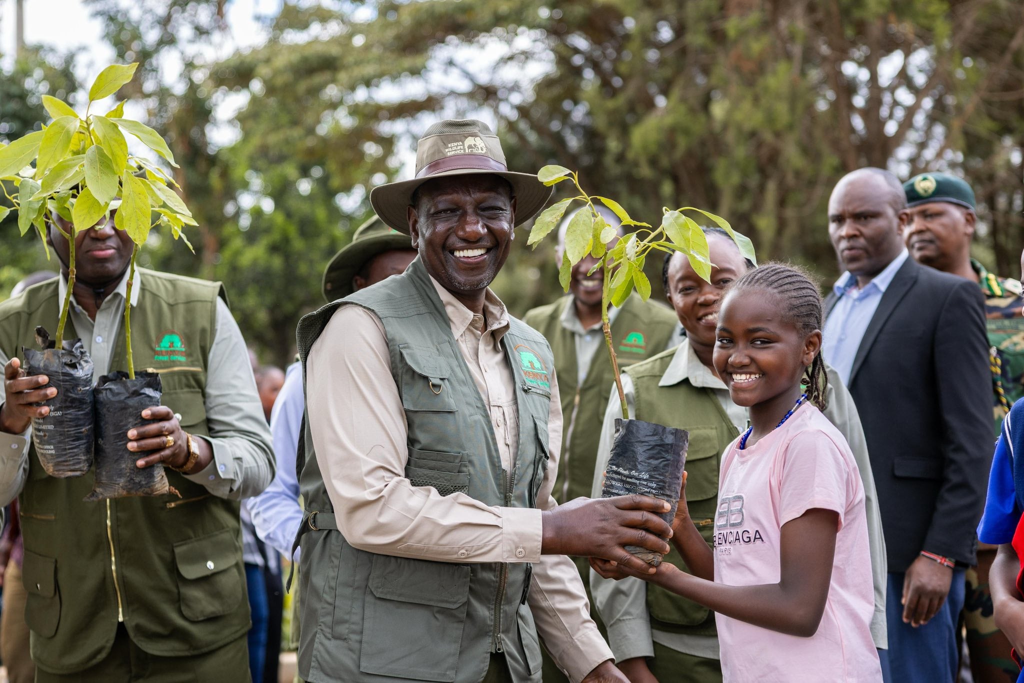 President William Ruto Launched Initiative To Increase Kenya'S Forest Cover With Cutting Of Trees Still Rampant