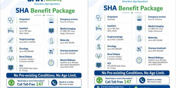 Breakdown Of All Services Covered By Sha And Payouts Reserved For Each Sha Benefit Package Details