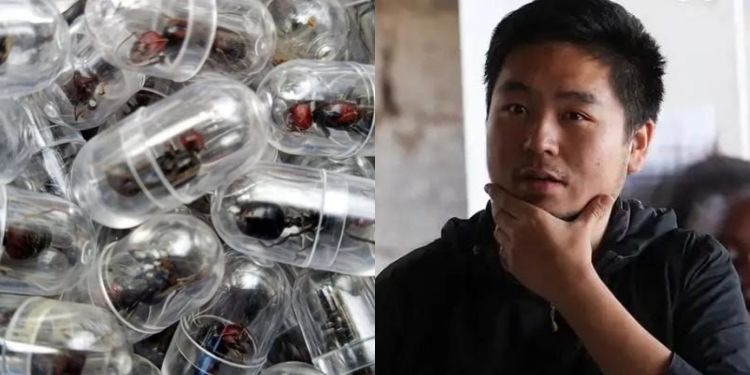 Kws Court Verdict Sees Chinese National Fined Sh1 Million Over Ant Smuggling