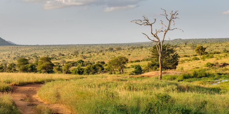 Icpac Predicts Hotter Months Ahead For Kenya Between June And September  
