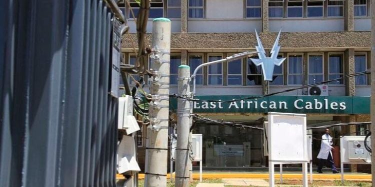 Troubled East African Cables Set For Ownership Shake-Up Cable Experts Seeks Acquisition Of 68.37% East African Cables Stake Held By Transcentury