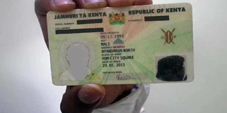 How Kenyan National Id Numbers Are Assigned: Explained