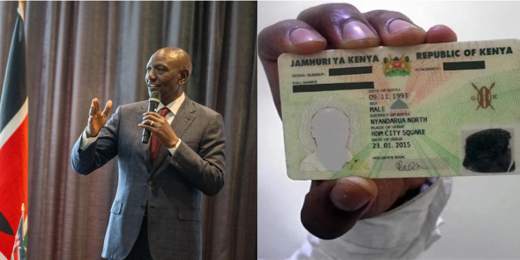 Senator Hamida Kibwana Seeks Investigation Into Foreign Nationals Acquiring Kenyan Ids