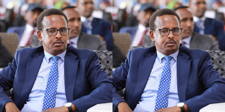 Kenya Deports Second Somali Presidential Aide In Days