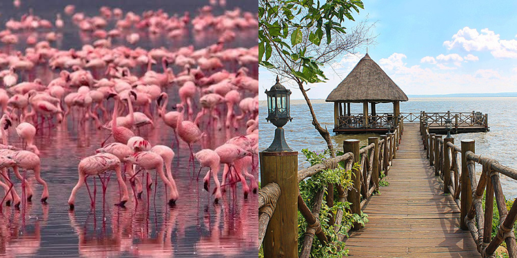 Top 10 Kenyan Road Trip Destinations To Visit In 2026