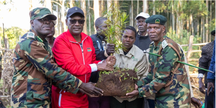 Kaptagat Celebrates A Decade Of Conservation And Community Impact 