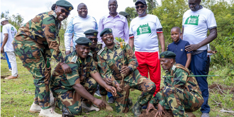 Kaptagat Celebrates A Decade Of Conservation And Community Impact 