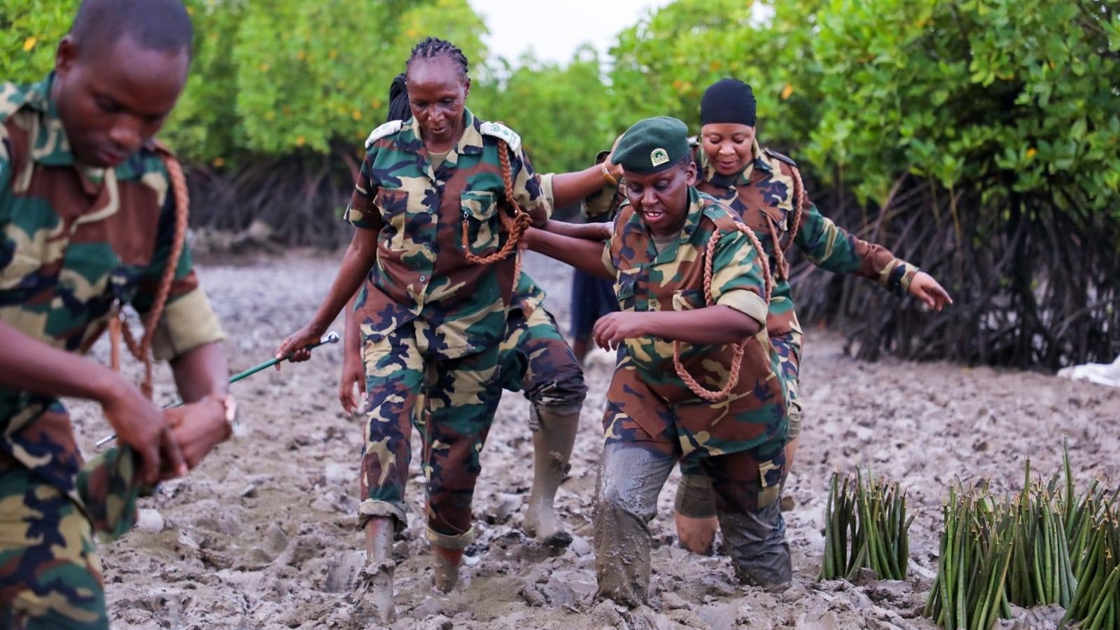 Kenya Forest Service